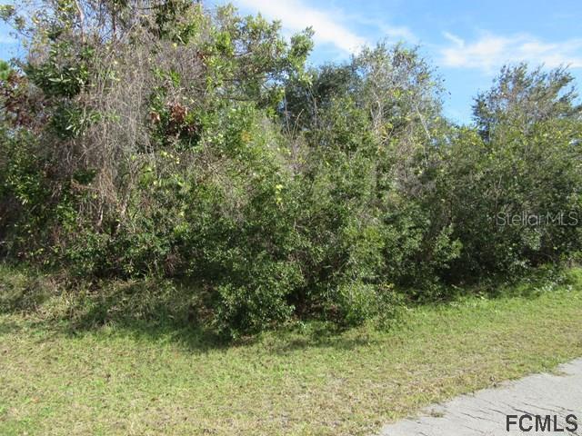 3 Lynn Pl., Palm Coast, FL 32137