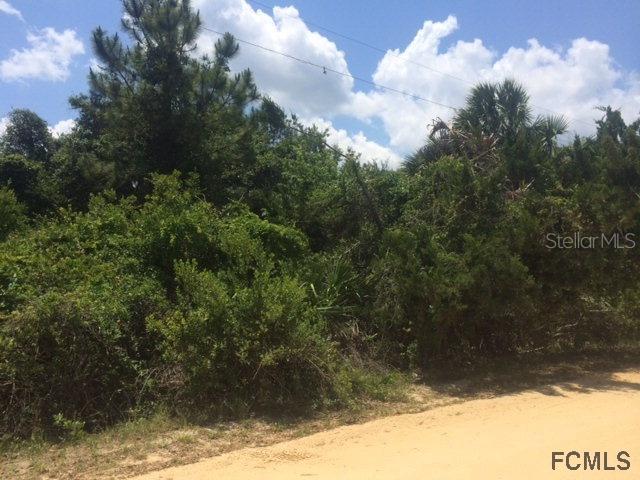 6 Flagler Dr., Palm Coast, FL 32137