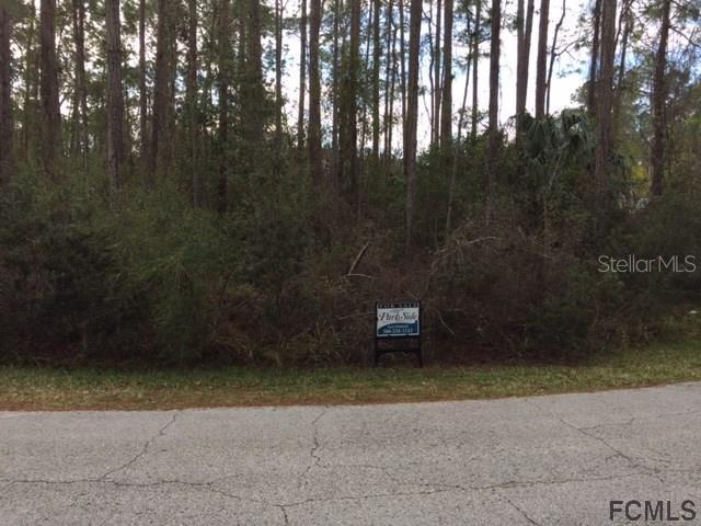 9 Reston Pl., Palm Coast, FL 32164