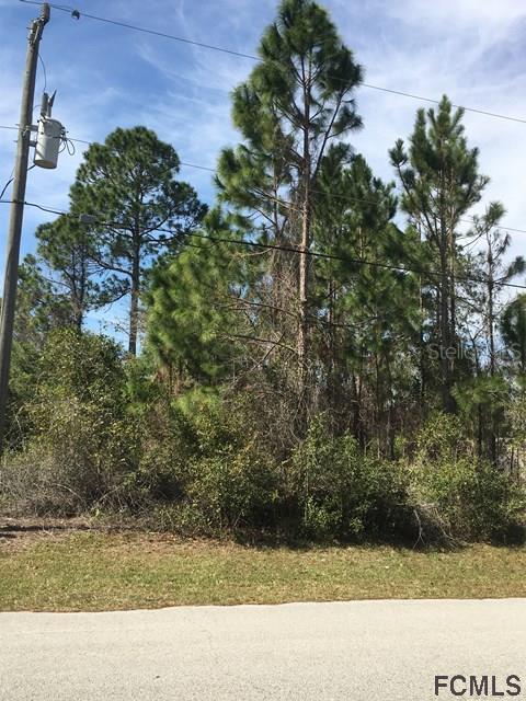 16 Easterly Pl., Palm Coast, FL 32164