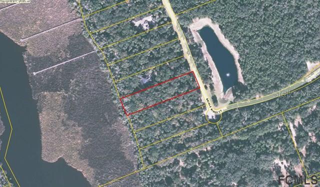 65 Bridle Ridge Ct., Flagler Beach, FL 32136