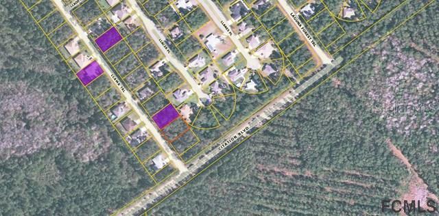 61 Llama Tr., Palm Coast, FL 32164