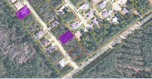 63 Llama Tr., Palm Coast, FL 32164