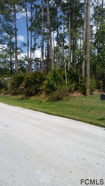 29 Westbriar Ln., Palm Coast, FL 32164