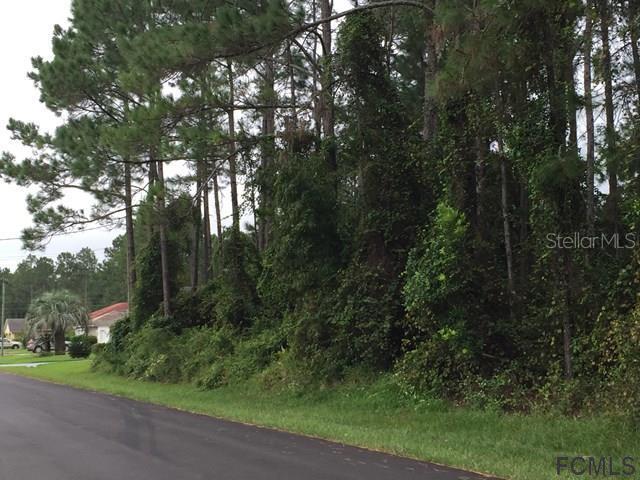 24 Ridley Ln., Palm Coast, FL 32164