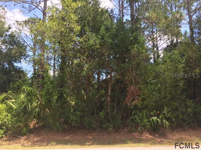 18 Whitcock Ln., Palm Coast, FL 32164