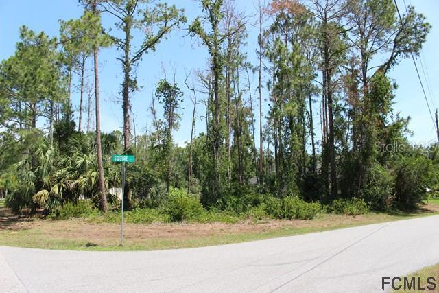 1 Squire Ct., Palm Coast, FL 32164