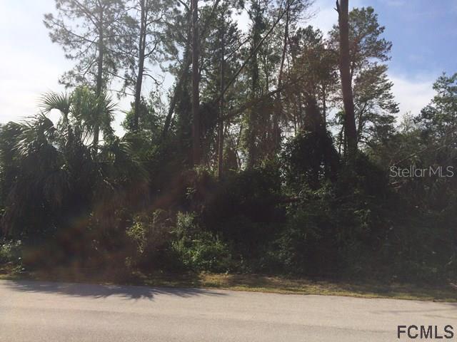 68 Fulton Pl., Palm Coast, FL 32137