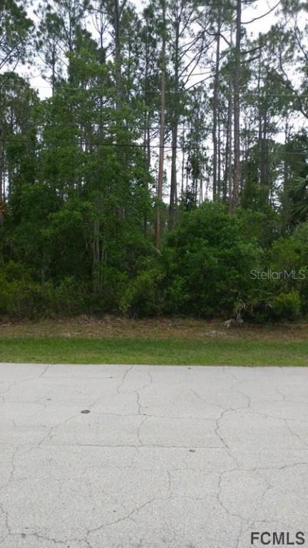 96 Smith Tr., Palm Coast, FL 32164