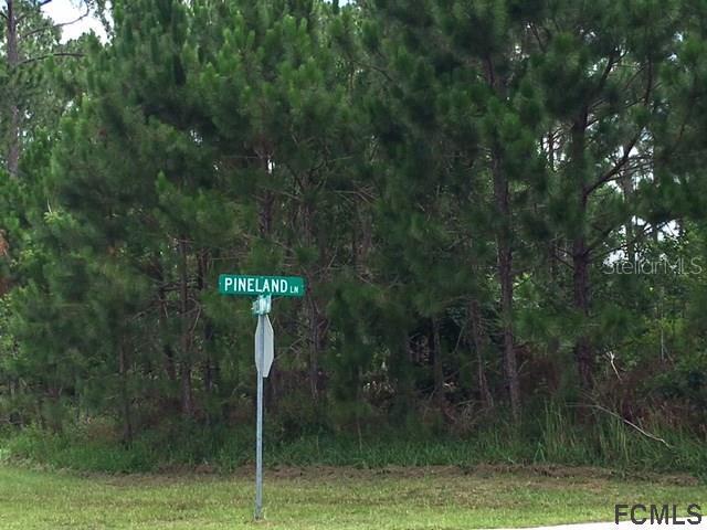 58 Pineland Ln., Palm Coast, FL 32164