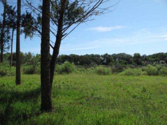 29 Bulow Woods Cir., Flagler Beach, FL 32136