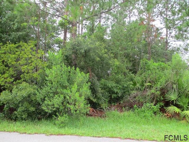 5 Wild Oak Pl., Palm Coast, FL 32164