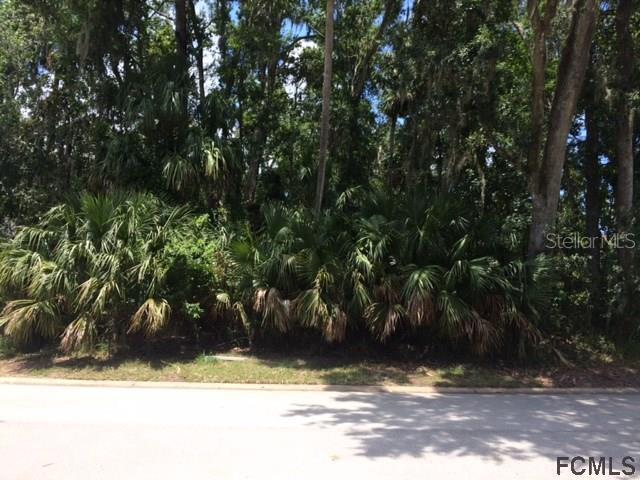 53 Audubon Ln., Flagler Beach, FL 32136