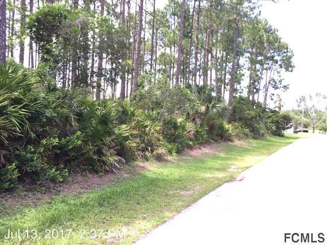 6 Lake Charles Pl., Palm Coast, FL 32137