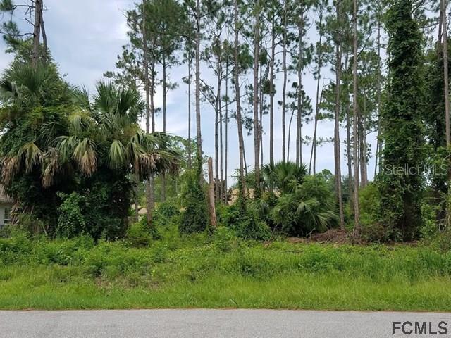 3 Lloleeta Path, Palm Coast, FL 32164