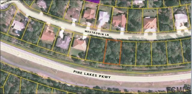 101 Westrobin Ln., Palm Coast, FL 32164