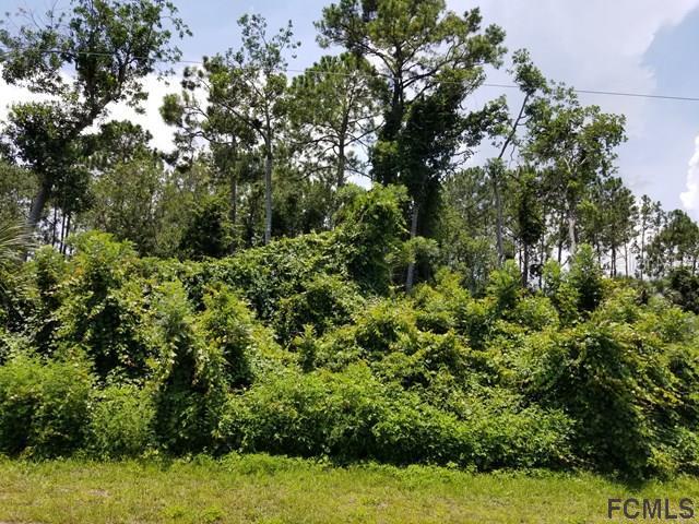 50 Fairbank Ln., Palm Coast, FL 32110