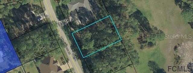 69 Lake Success Dr., Palm Coast, FL 32137