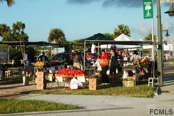 1325 Ocean Shore Blvd., Flagler Beach, FL 32136