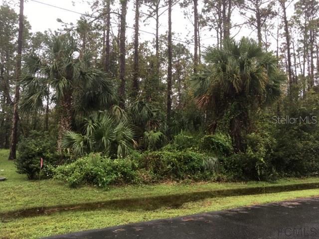 59 Eastwood Dr., Palm Coast, FL 32164