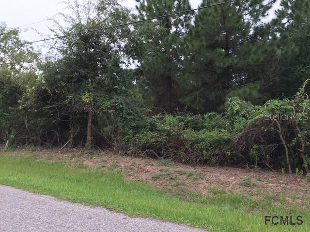 142 Lindsay Dr., Palm Coast, FL 32137