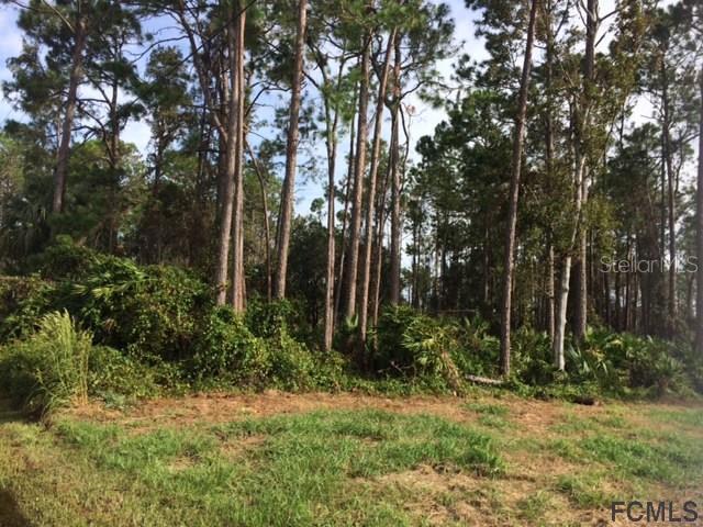 18 Lincoln Ln., Palm Coast, FL 32137