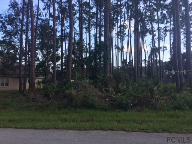 43 Eagle Harbor Tr., Palm Coast, FL 32164