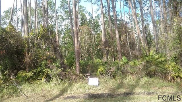 185 Eric Dr., Palm Coast, FL 32164