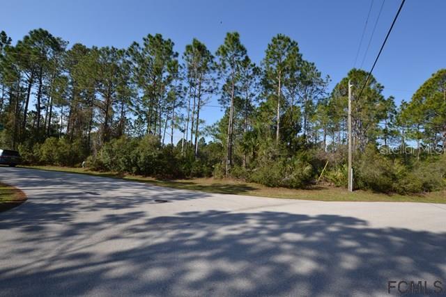 2 Sergeant Ct., Palm Coast, FL 32164