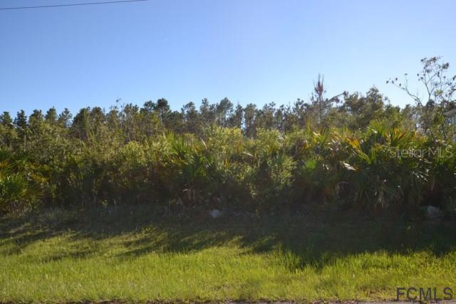 22 Louisville Dr., Palm Coast, FL 32137