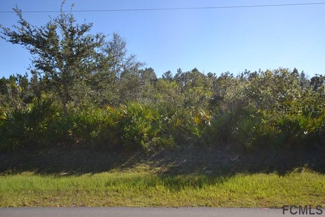 24 Louisville Dr., Palm Coast, FL 32137