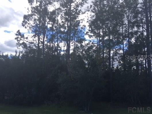 71 Universal Tr., Palm Coast, FL 32164