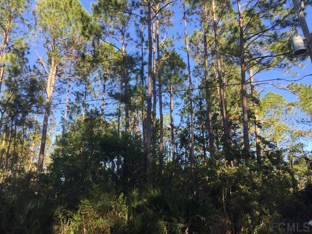 21 Potomac Dr., Palm Coast, FL 32164