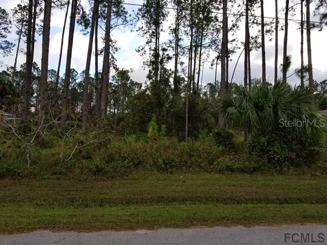 69 Reidsville Dr., Palm Coast, FL 32164