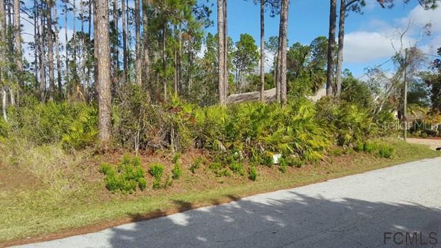 10 Erickson Pl., Palm Coast, FL 32164