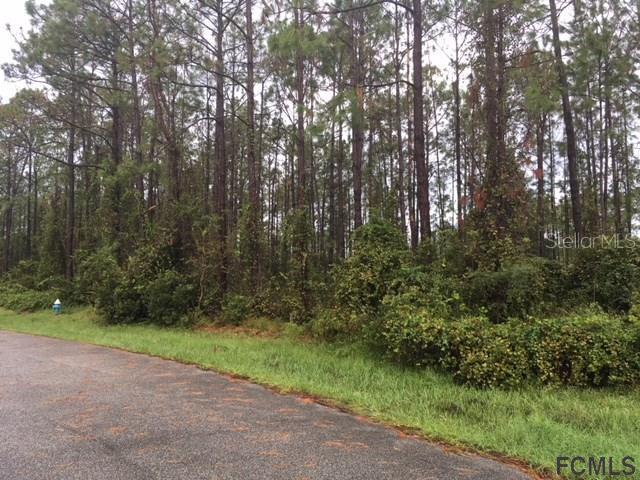 7 Squadron Pl., Palm Coast, FL 32164