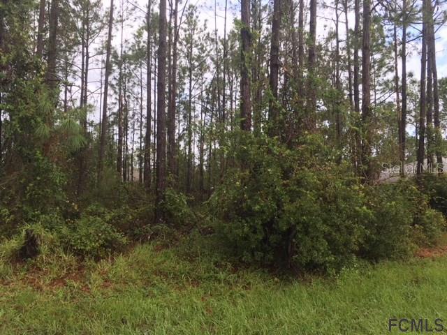 9 Squadron Pl., Palm Coast, FL 32164