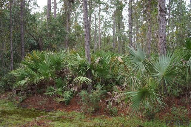 30 Ponderosa Ln., Palm Coast, FL 32164