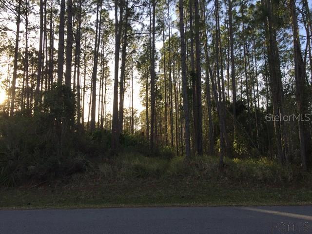 20 Ridley Ln., Palm Coast, FL 32164