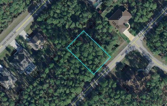 9 Porwyn Ln., Palm Coast, FL 32164
