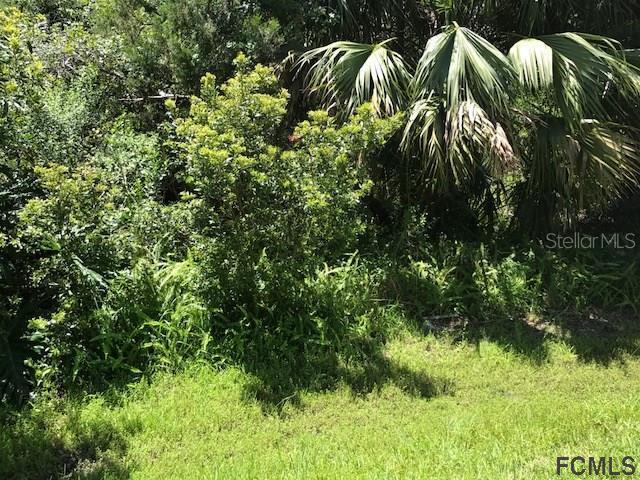 36 Francis Ln., Palm Coast, FL 32137