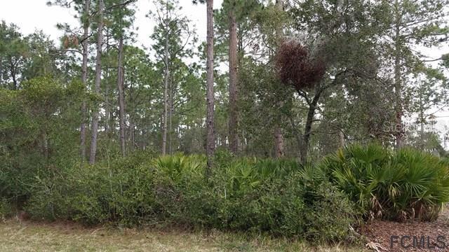 42 Easterly Pl., Palm Coast, FL 32164