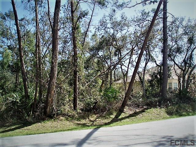 54 Freemont Turn, Palm Coast, FL 32137