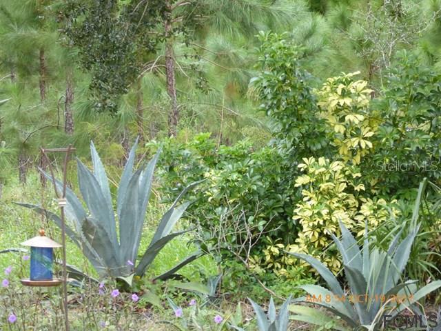 8 Walnut Pl., Palm Coast, FL 32164