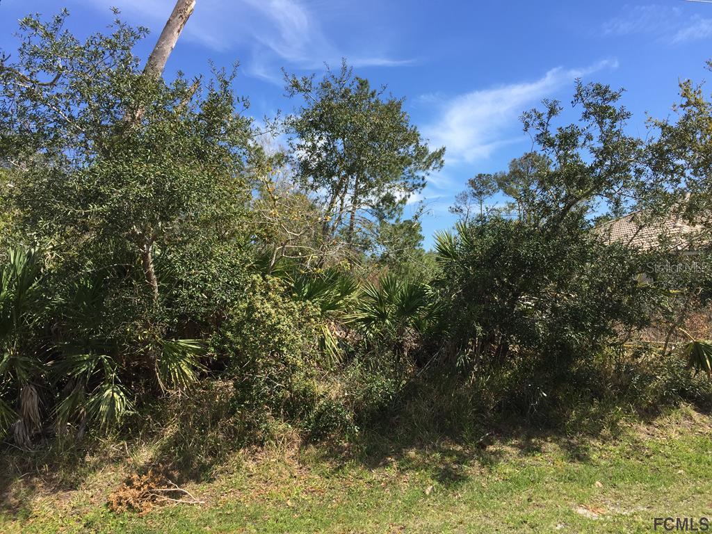 55 Faircastle Ln., Palm Coast, FL 32137