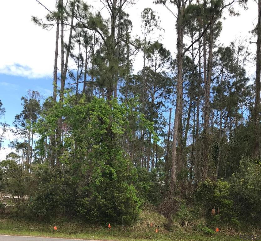 295 Beachway Dr., Palm Coast, FL 32137