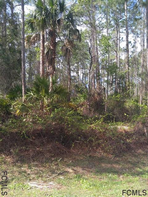 25 Louisville Dr., Palm Coast, FL 32137