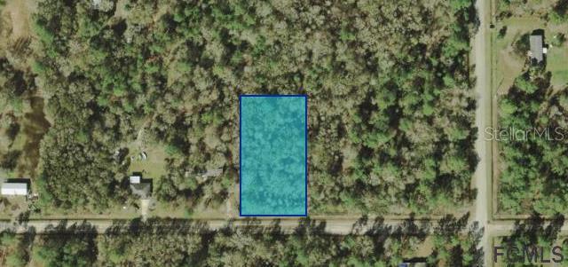 4520 Alvin St., Hastings, FL 32143