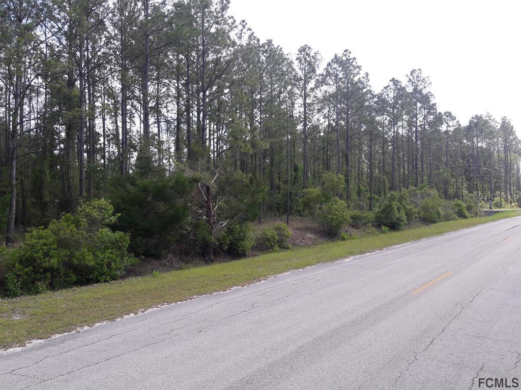 9835 Kirchherr Ave., Hastings, FL 32145