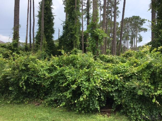 23 Empress Ln., Palm Coast, FL 32164